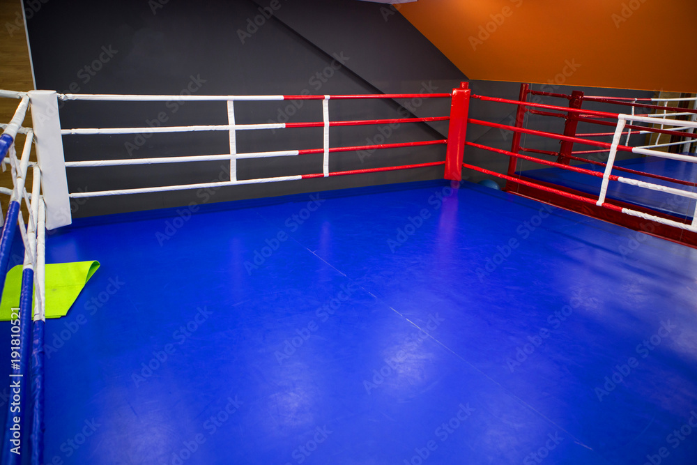 Brydens Boxing Gym - Sydney Uni Sport & Fitness - Boxing Ring