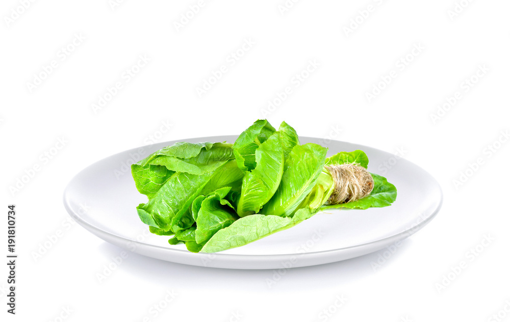 Salad cos in white plate on white background