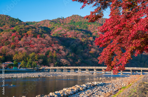 京都　嵐山の紅葉　渡月橋