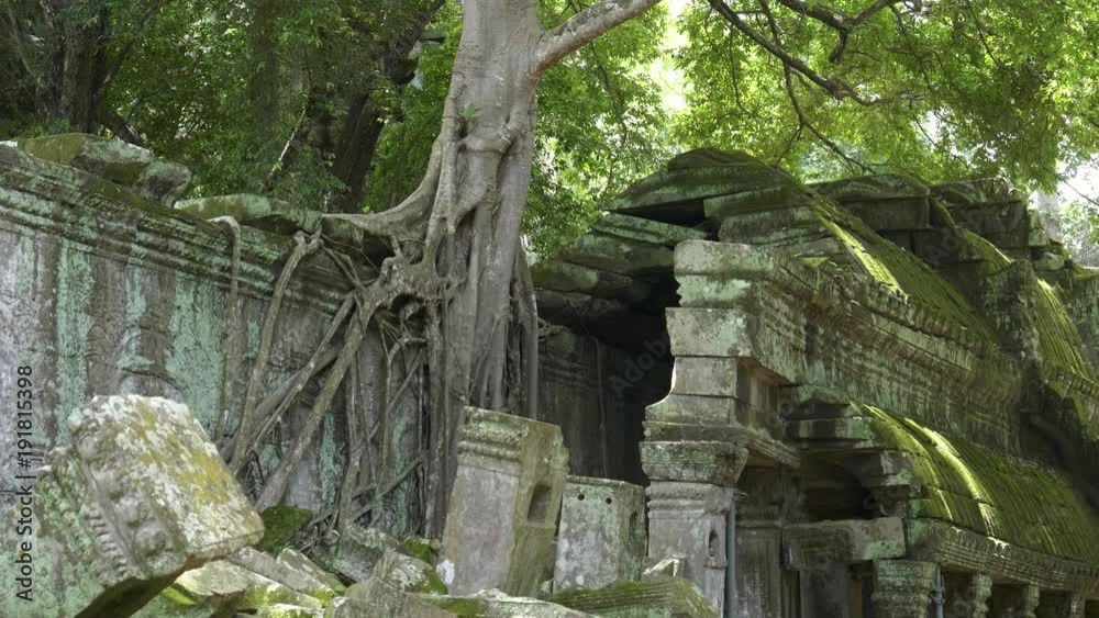 tree roots and a section of broken wall at ta prohm temple near angkor wat, cambodia tree roots and a section of broken wall at ta prohm temple near angkor wat, cambodia