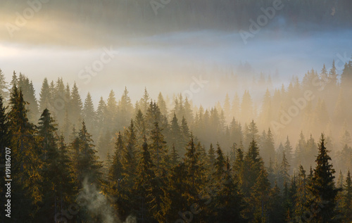 Early morning misty autumn Carpathian mountain  Ukraine.