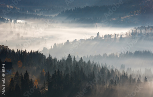First sunrise rays of sun in Carpathian mountains.