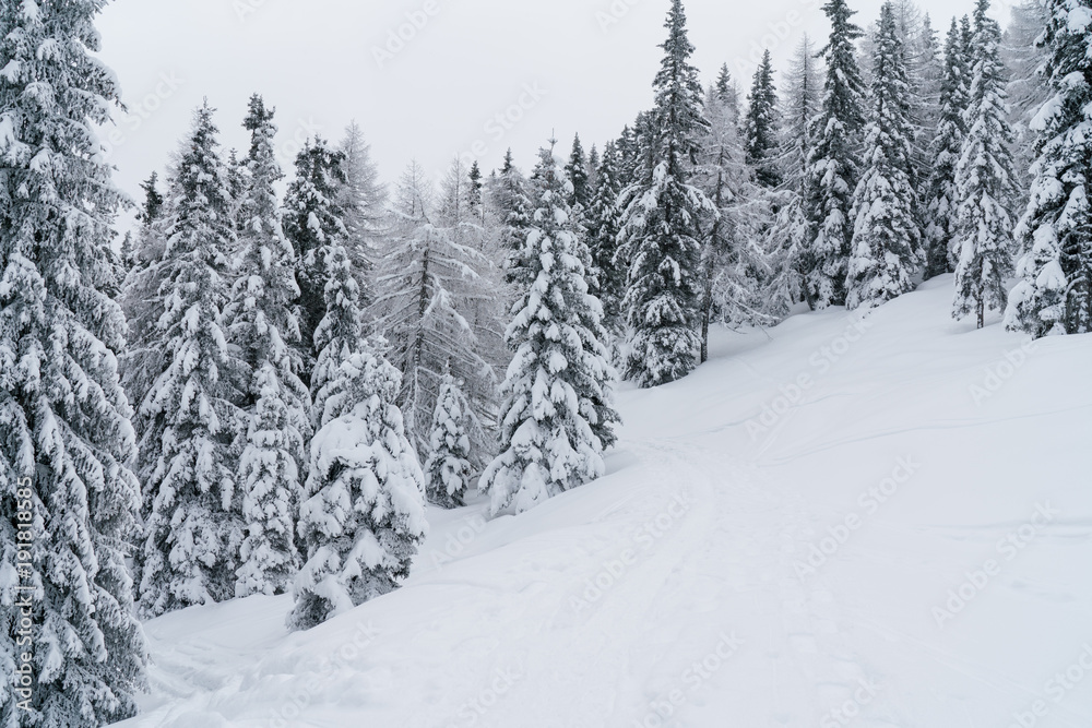 Naklejka premium Verschneiter Wald in Schneelandschaft