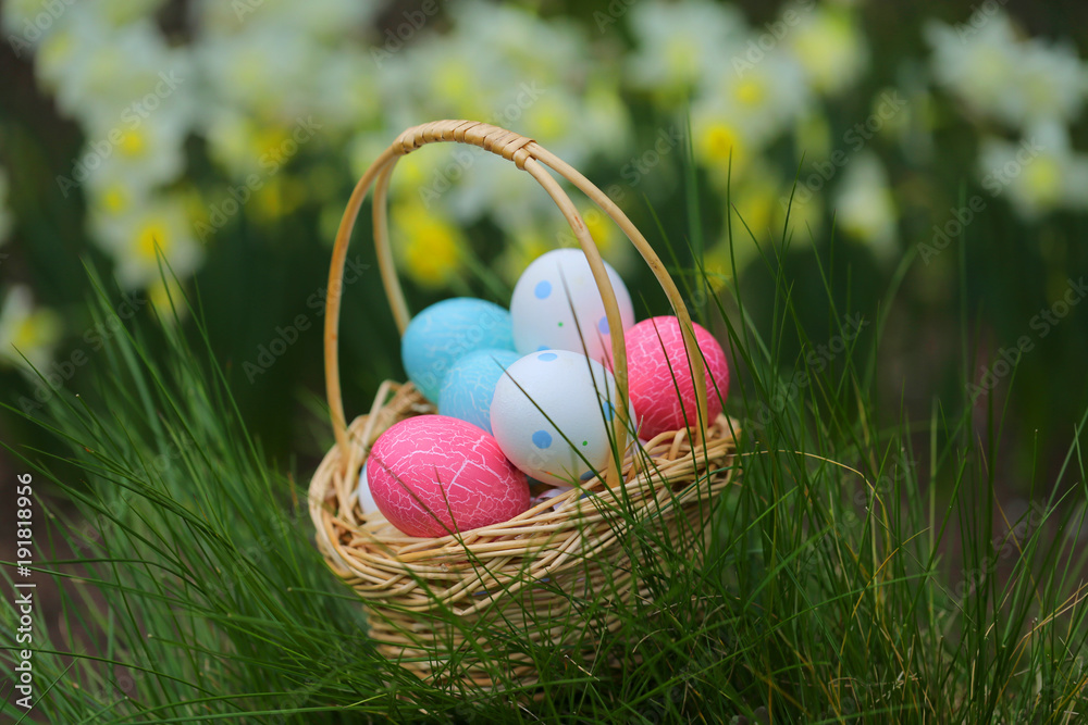 Easter .basket with Easter blue and pink eggs in green grass on blurred floral background. Easter mood Easter .basket with Easter blue and pink eggs in green grass on blurred floral background. Easter mood