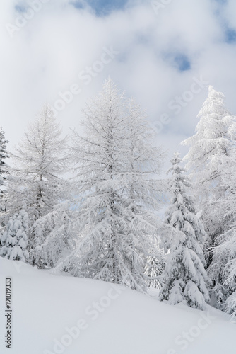 Verschneiter Baum in Schneelandschaft mit Sonne und blauem Himmel © Nena