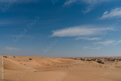 Wüstenlandschaft mit Dünen und blauem Himmel