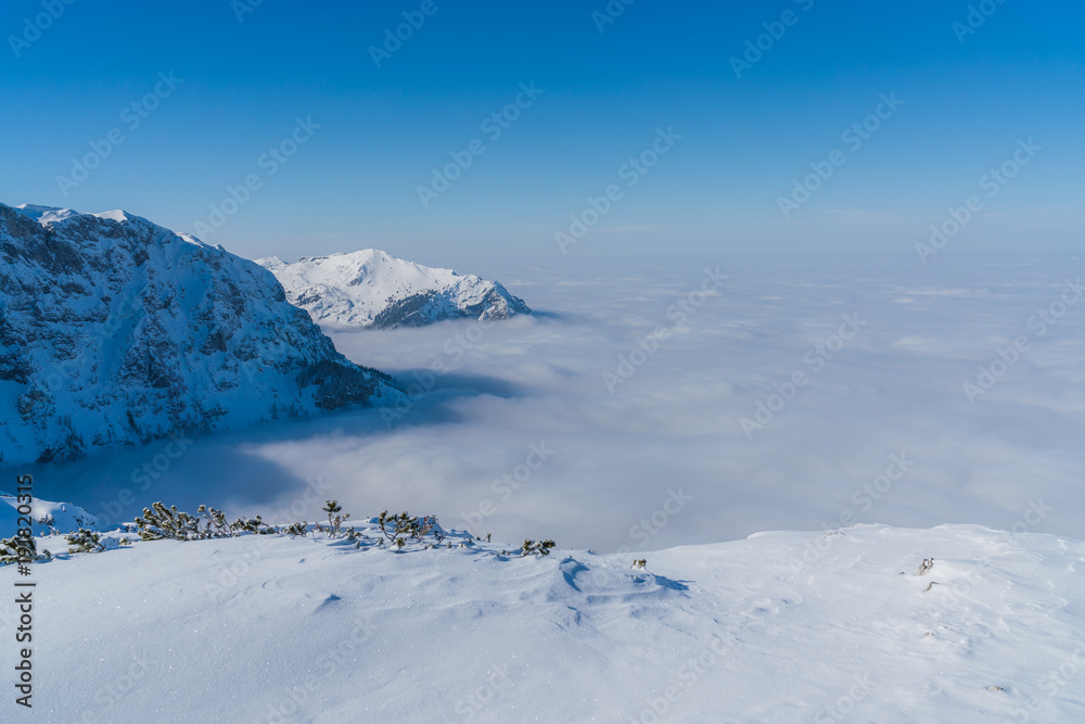 Schneelandschaft auf dem Berg - Tal im Nebel - Blick auf Traunstein