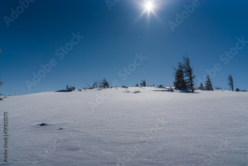 Unberührte Schneelandschaft in Österreich mit blauem Himmel