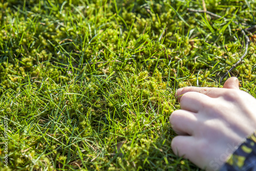 Boy showing the growing moss amongst the lawn photo