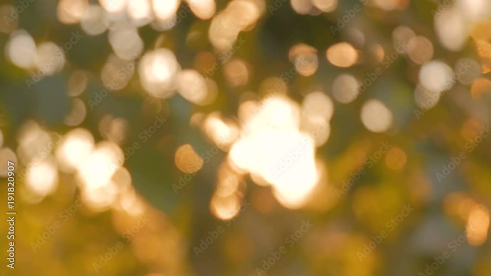 Abstract nature bokeh background. Sunset light, sun lens flares, golden hour