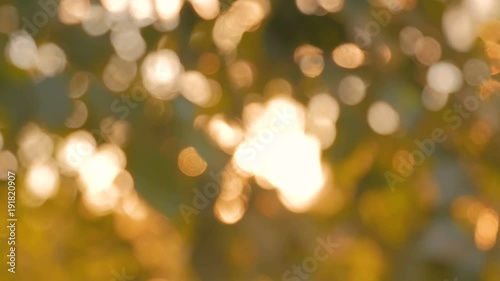 Abstract nature bokeh background. Sunset light, sun lens flares, golden hour