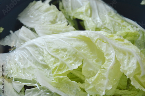 fresh Chinese cabbage water cleaning in plastic basin