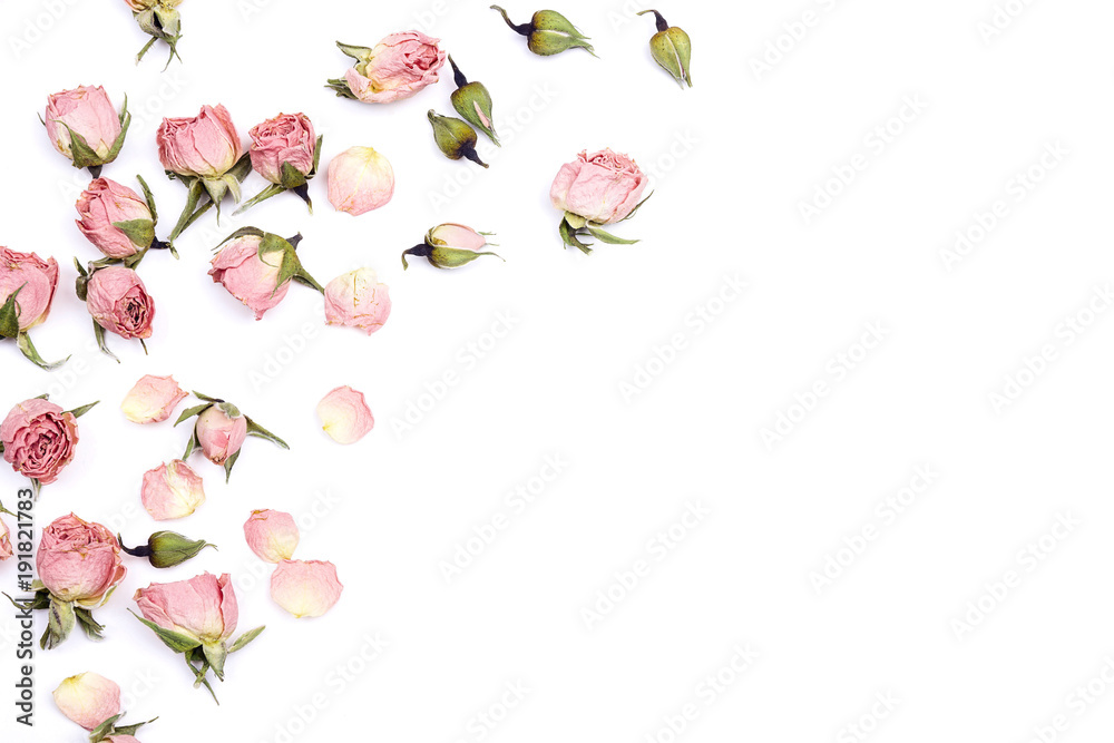 Border of small dry roses on white background. Place for text. - obrazy, fototapety, plakaty 