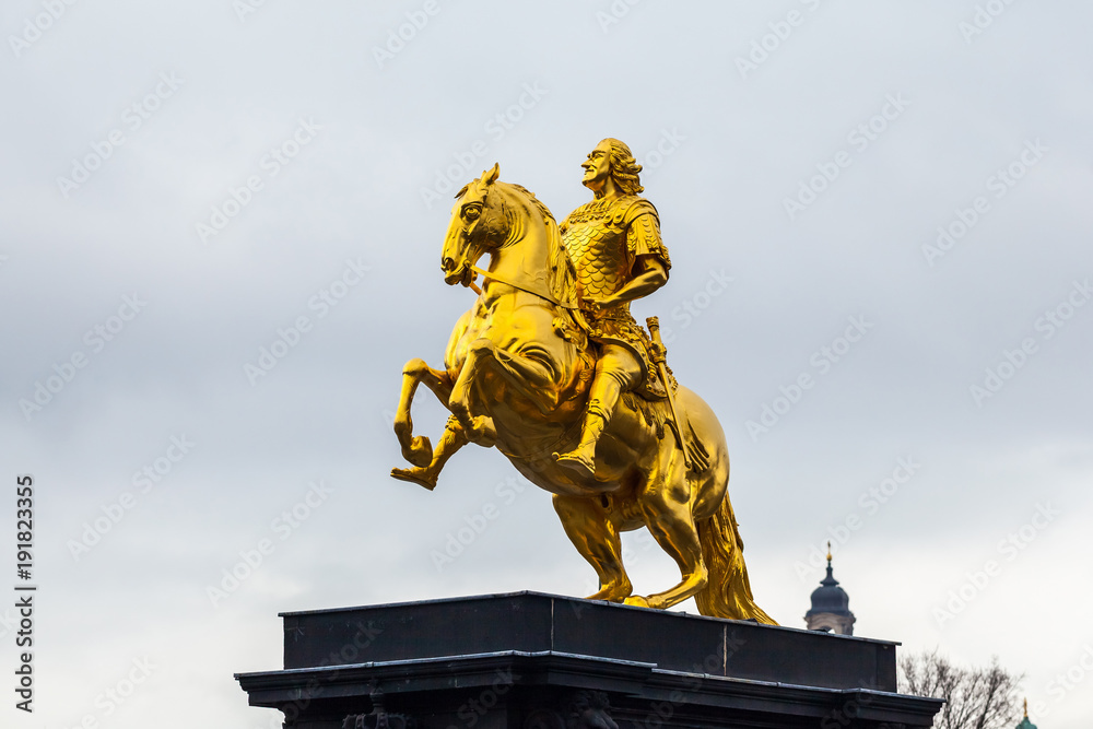 Obraz premium Golden horse 