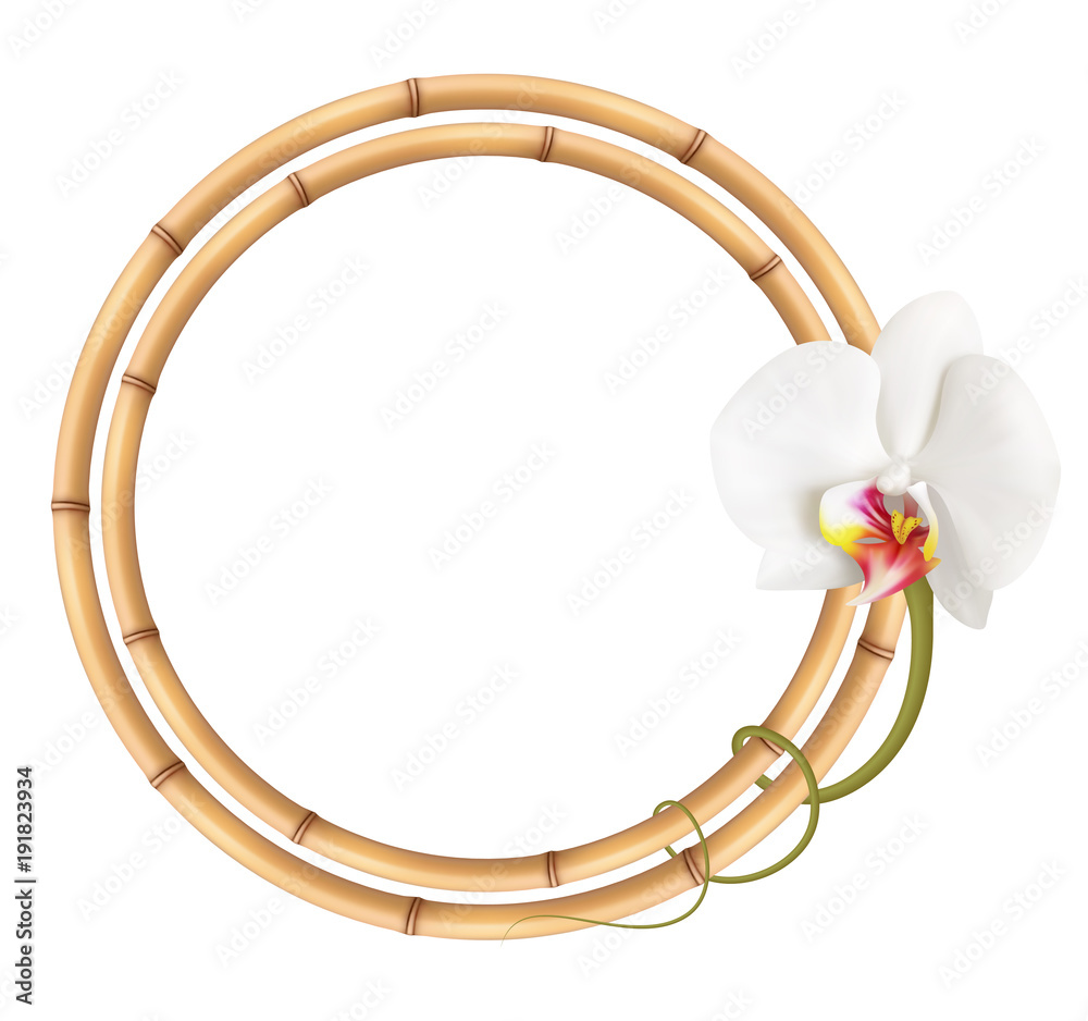 Obraz premium Realistic bamboo frame with orchid flower.