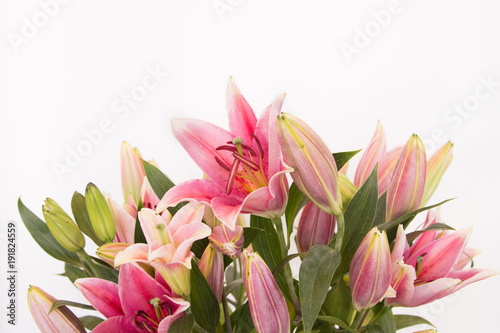 The beautiful lilly flowers are on white background.