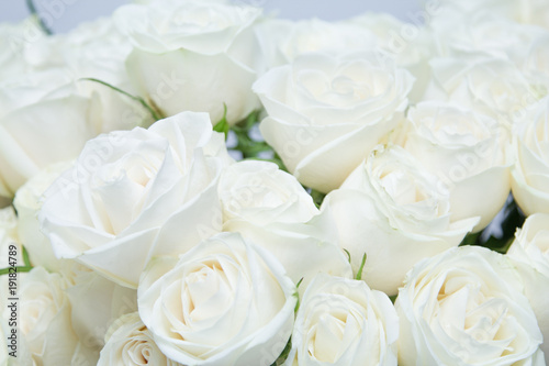 The beautiful white roses bouquet. © Montira.photo