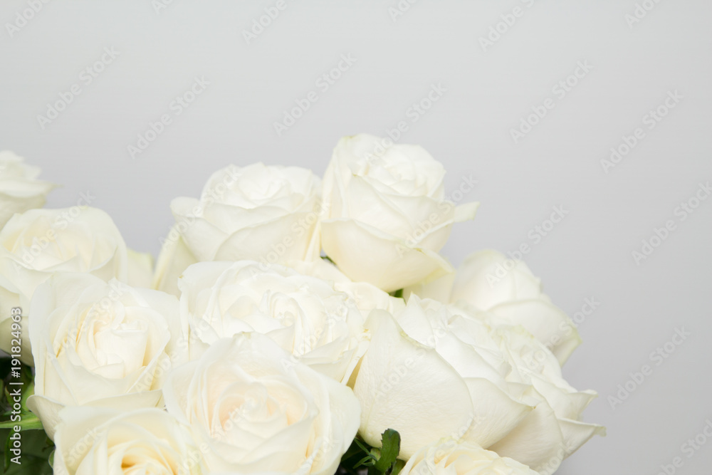 The beautiful white roses bouquet on isolate white background.