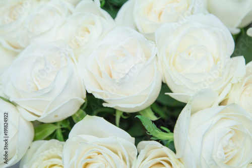 The beautiful white roses bouquet.