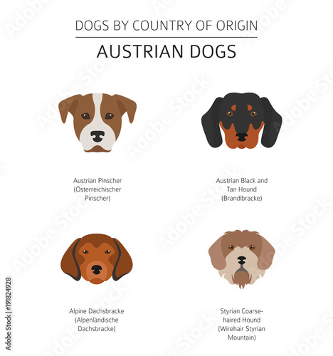 Dogs by country of origin. Austrian dog breeds. Infographic template