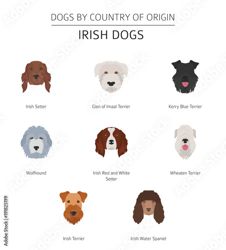 Dogs by country of origin. Irish dog breeds. Infographic template