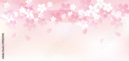 桜たくさん ピンク 上 二 全面