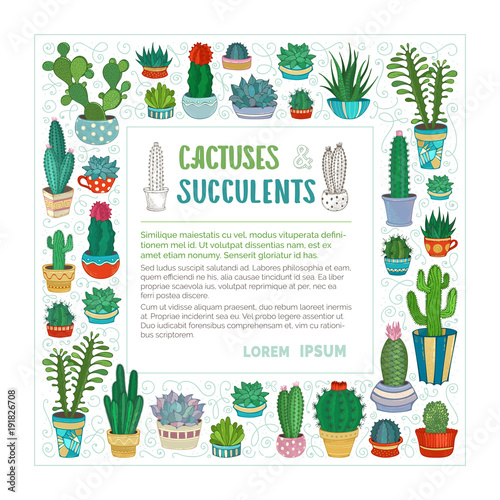 Vector cactuses and succulents square frame.