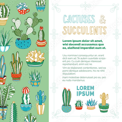 Cactuses and succulents vector background.
