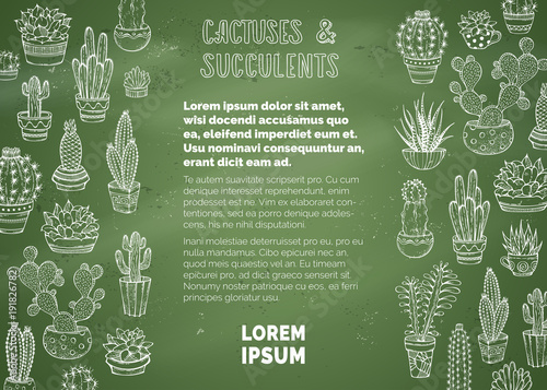 Vector cactuses and succulents chalk background.