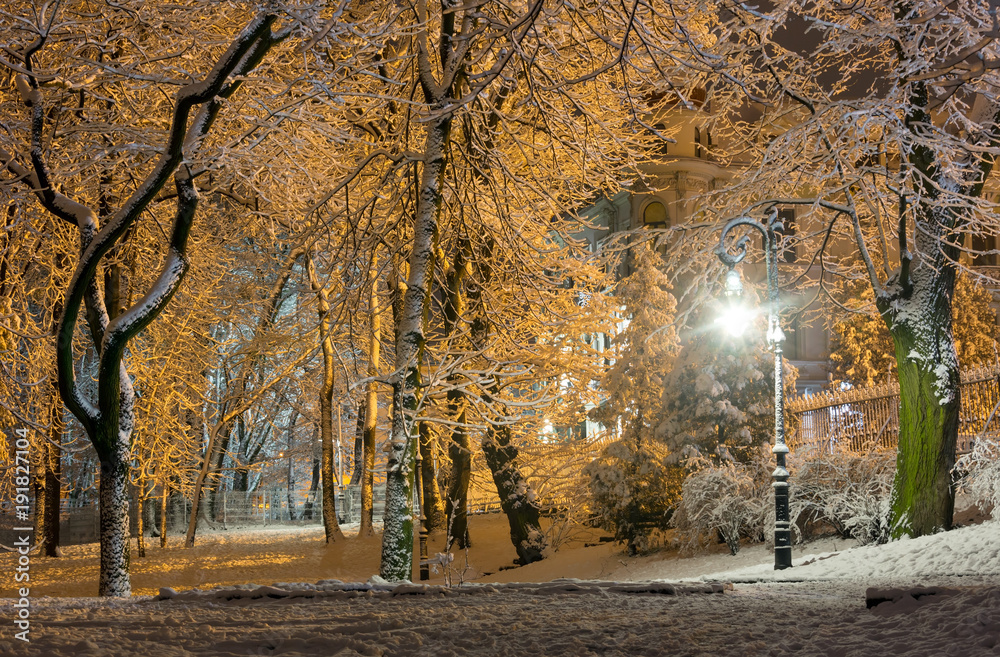 Fototapeta premium Night winter Ivan Franko park in Lviv, Ukraine