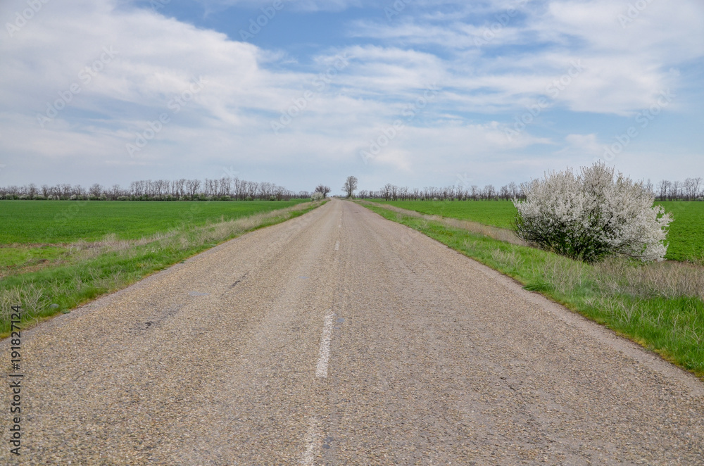 empty straight asphalt road in steppe region covered with green grass in early spring Solenoye, Kalmykia