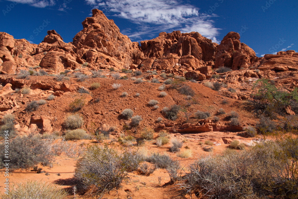 Naklejka premium Landscape on Elephant Rock Trail in Valley of Fire State Park in Nevada in the USA 