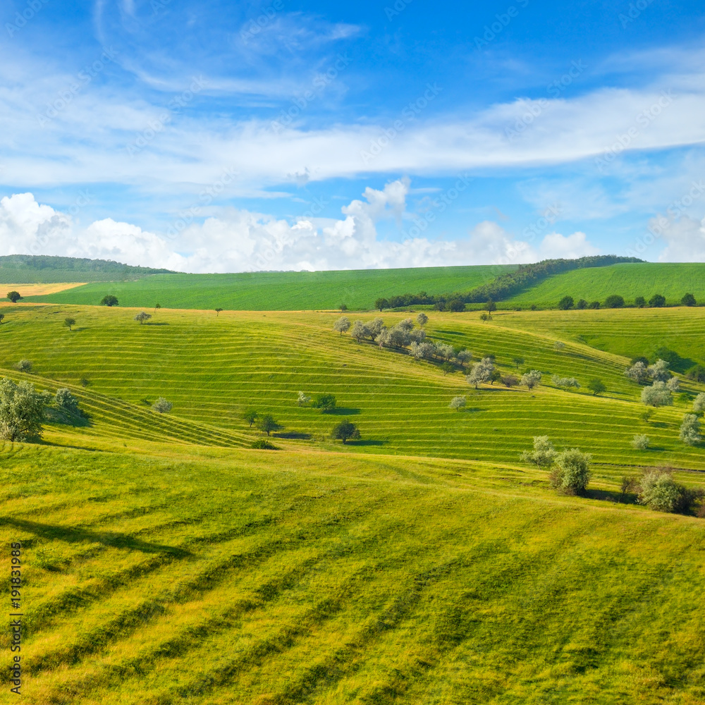 Green field and blue sky. Picturesque hills formed by an old river terrace.