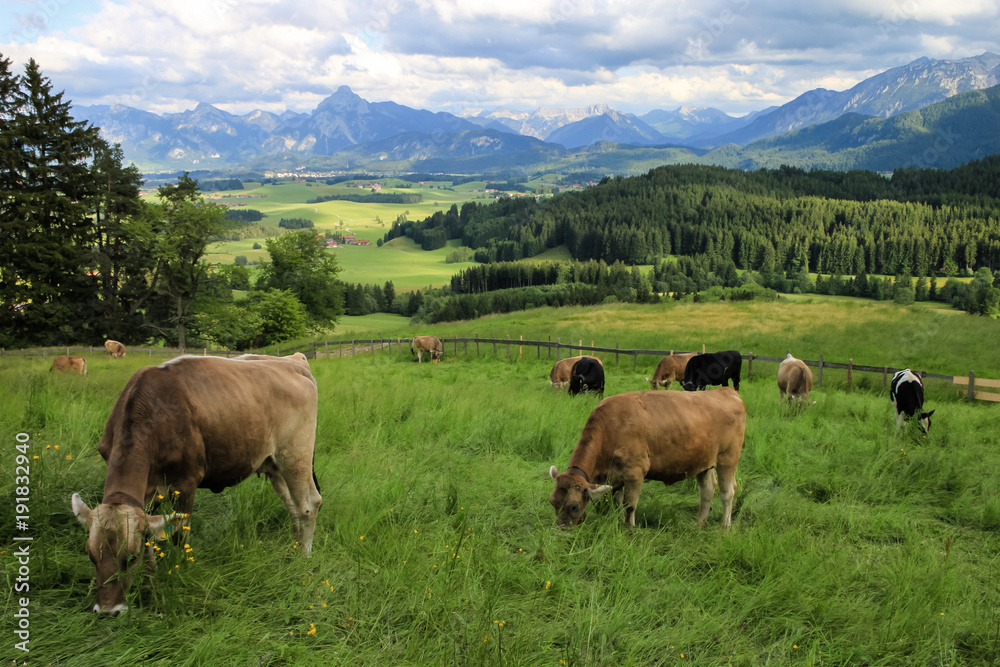 Blick von der Schloßbergalm