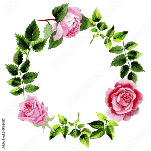 Leaves of rose wreath in a watercolor style. Aquarelle leaf for background, texture, wrapper pattern, frame or border.