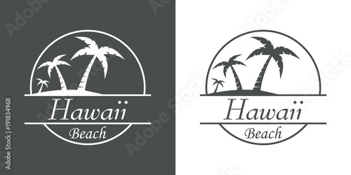 Icono plano Hawaii beach en gris y blanco