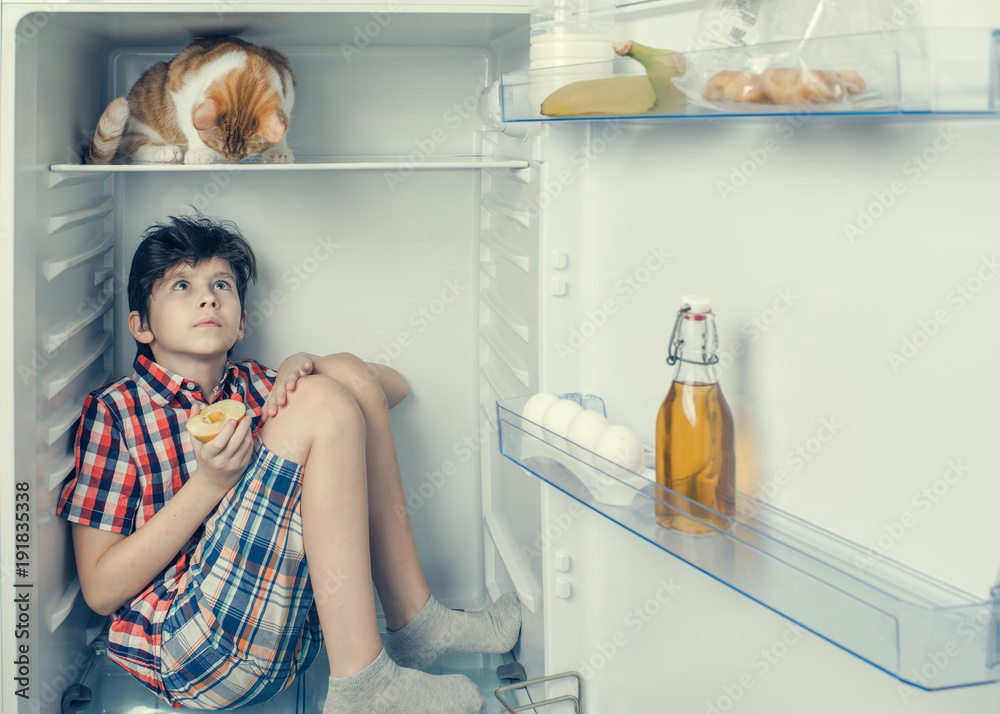A boy in a shirt and shorts with red cat inside a fridge with food and product. A boy in a shirt and shorts with red cat inside a fridge with food and product.
