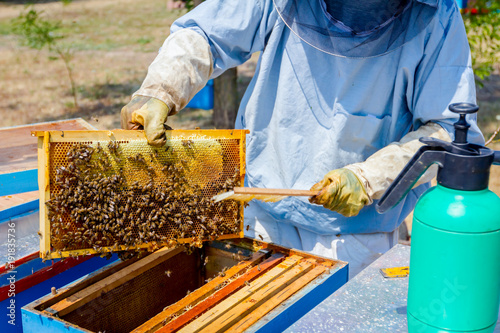 Bilde på lerret Beekeeper is using bristle to get rid of bees