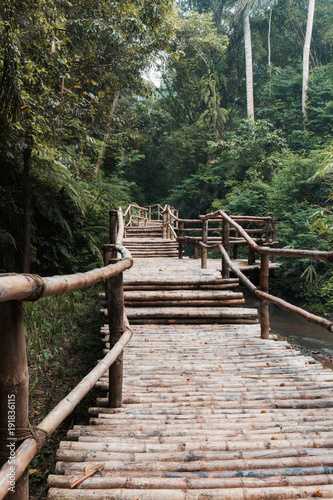 Walking pathway to rainforest made from bamboo.