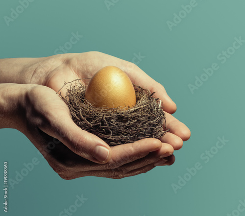 Female hands carefully hold the nest with a golden egg. The concept of saving and increasing savings.