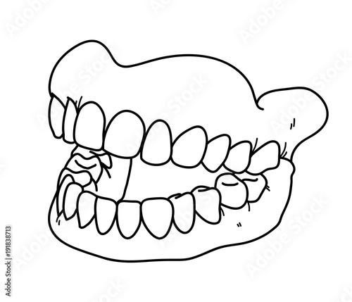 Dental Prosthesis, a hand drawn vector doodle illustration of a prosthetic teeth.