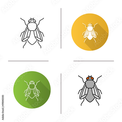 Housefly icon
