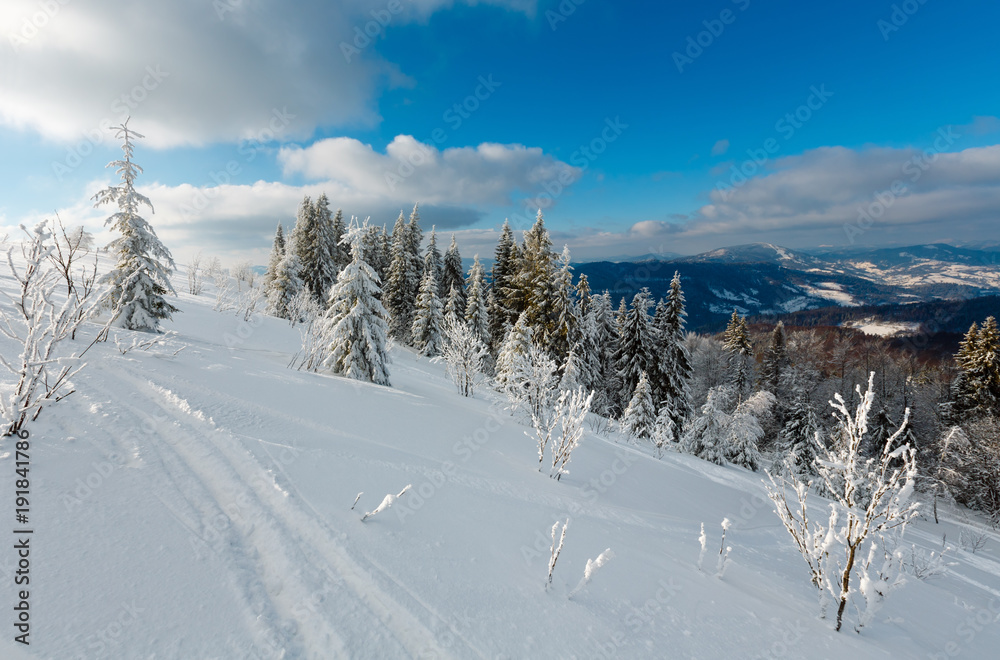 Fototapeta premium Winter mountain snowy landscape