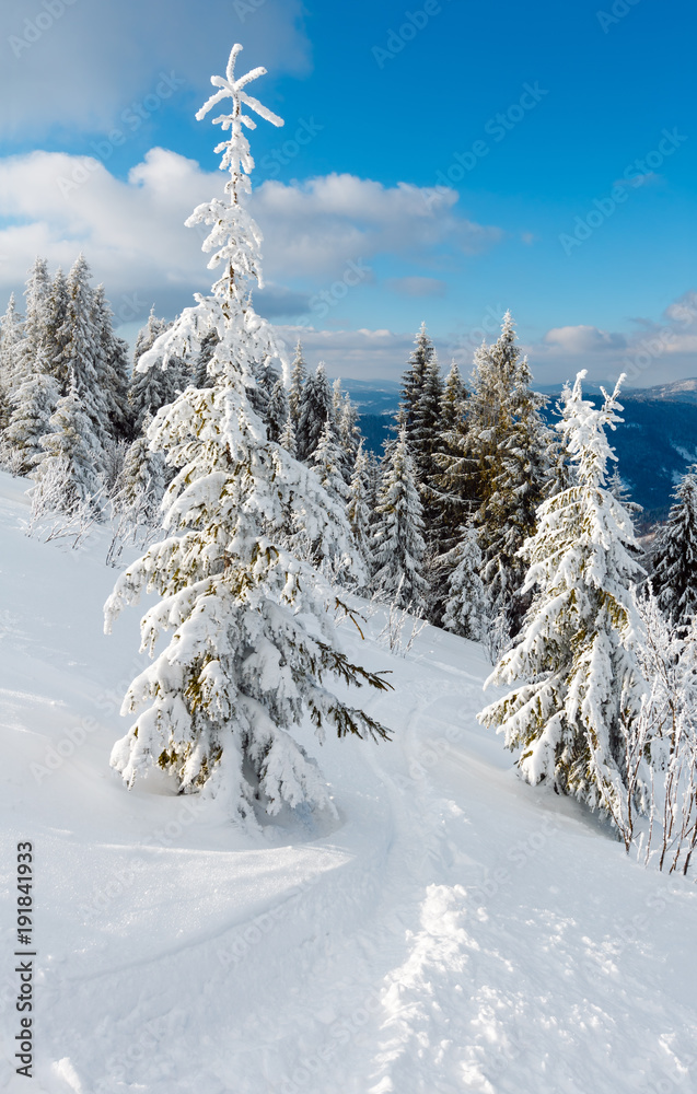 Fototapeta premium Winter mountain snowy landscape