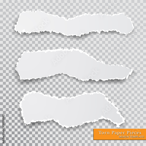 Vector torn paper pieces. Transparent background. Template paper design