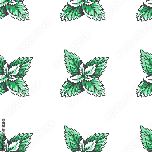 Vector seamless pattern with mint leaves. Botanical hand drawn illustration of herb. Floral texture in sketch style