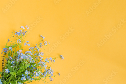 Blue flowers on a yellow background