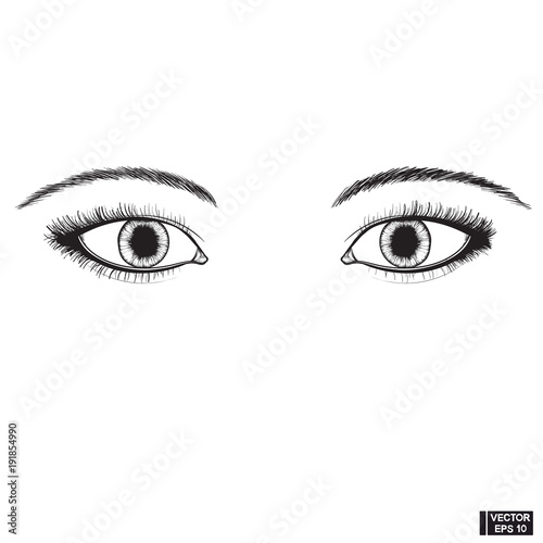 Two beautiful female eyes sketch