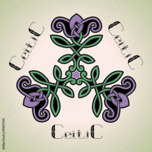 Flower pattern in the Celtic style.