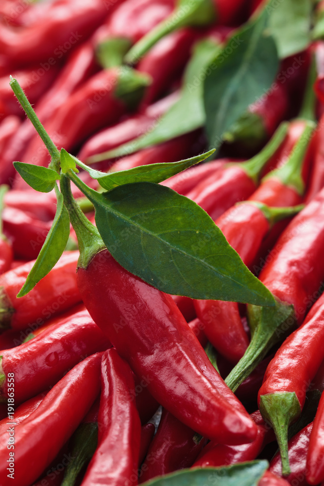 Red chili peppers. Red chili peppers.